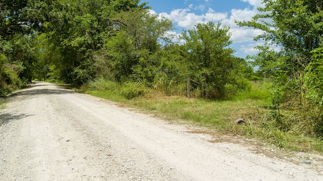 Listing photo 3 for 4534 County Road 227, Bedias TX 77831