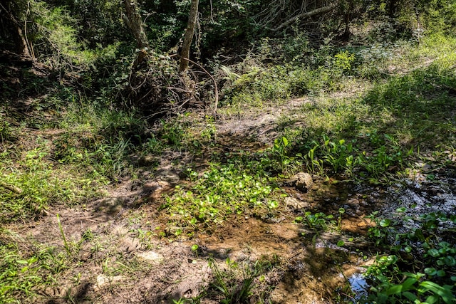 4769 Track Rd, New Ulm, TX 78950 - photo 21