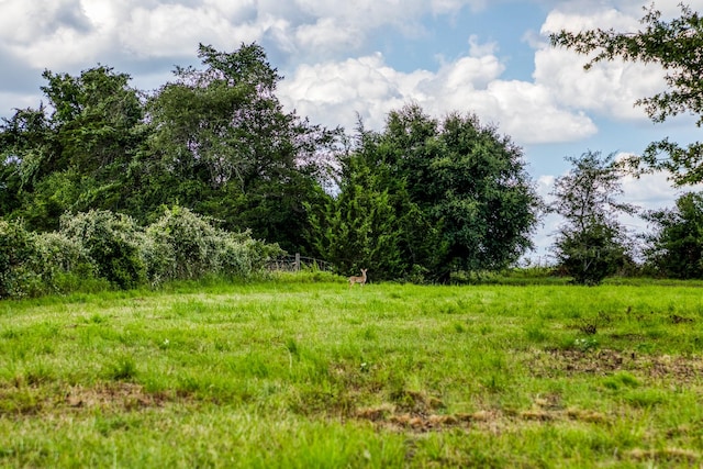 4769 Track Rd, New Ulm, TX 78950 - photo 2