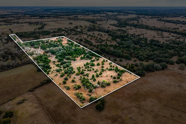 4769 Track Rd, New Ulm, TX 78950 - photo 1