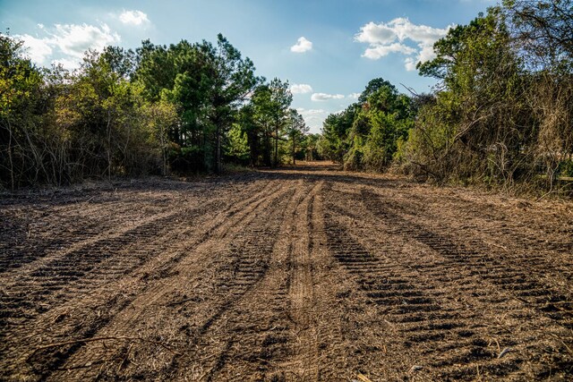 4769 Track Rd, New Ulm, TX 78950