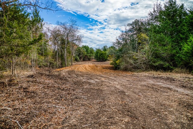 4769 Track Rd, New Ulm, TX 78950