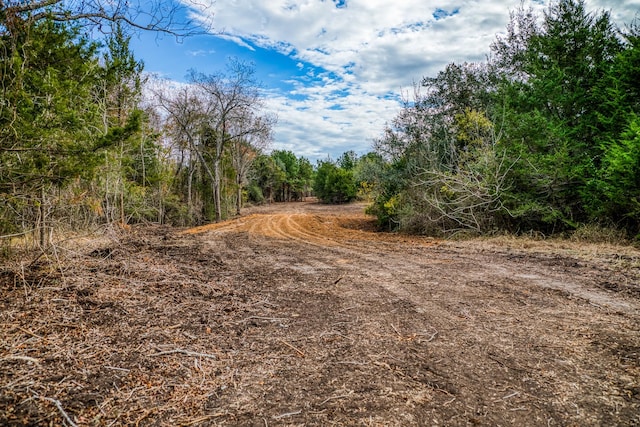 4769 Track Rd, New Ulm, TX 78950 - photo 8