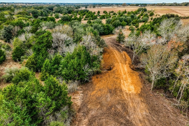 4769 Track Rd, New Ulm, TX 78950