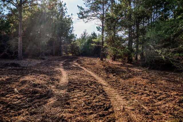 4769 Track Rd, New Ulm, TX 78950