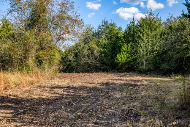 4769 Track Rd, New Ulm, TX 78950