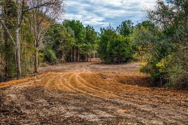 4769 Track Rd, New Ulm, TX 78950