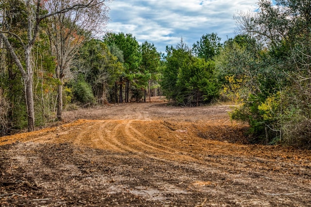 4769 Track Rd, New Ulm, TX 78950 - photo 14