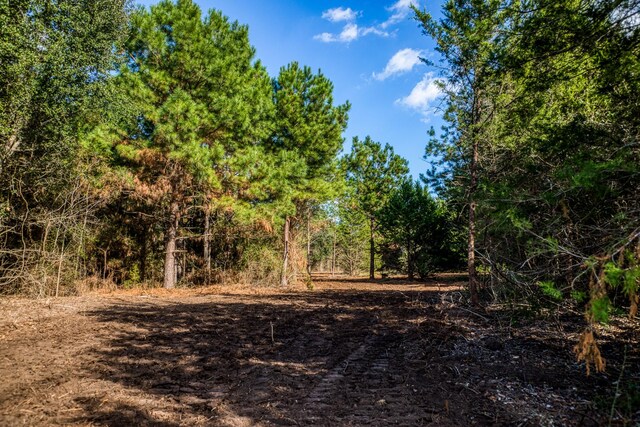 4769 Track Rd, New Ulm, TX 78950