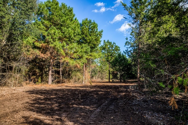 4769 Track Rd, New Ulm, TX 78950 - photo 18