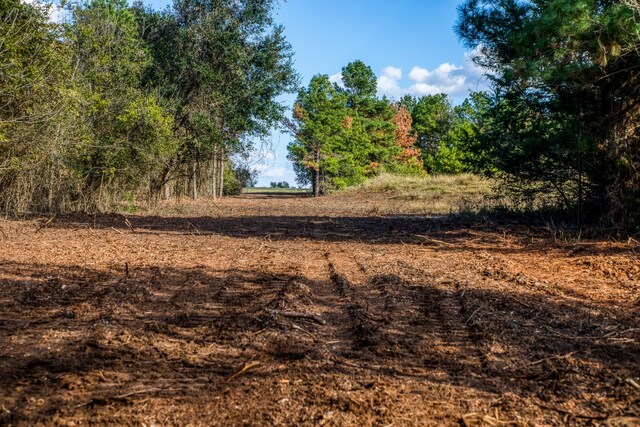 4769 Track Rd, New Ulm, TX 78950