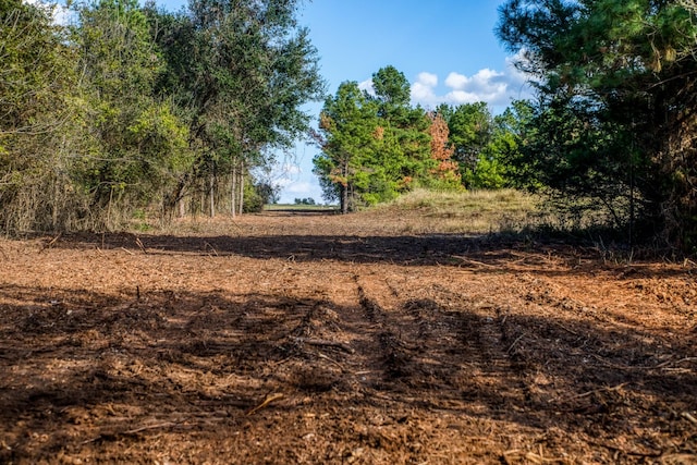 4769 Track Rd, New Ulm, TX 78950 - photo 19