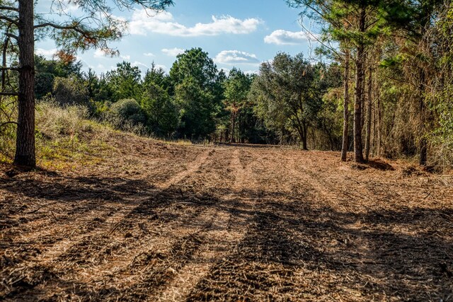 4769 Track Rd, New Ulm, TX 78950
