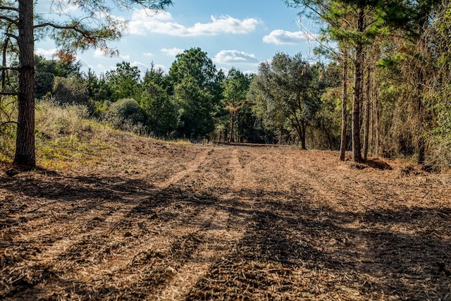 4769 Track Rd, New Ulm, TX 78950 - photo 20