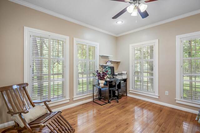 office with ceiling fan, ornamental molding, a wealth of natural light, and light hardwood / wood-style flooring