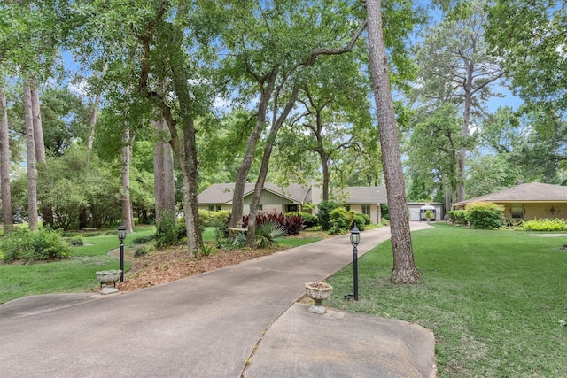 ranch-style home featuring a front yard