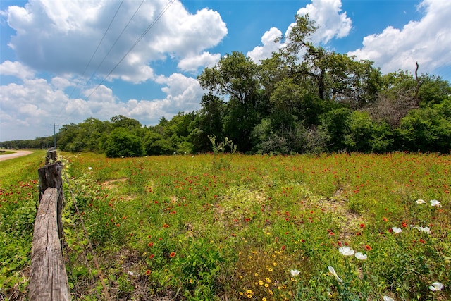 Listing photo 3 for TBD Cr 316, Caldwell TX 77836