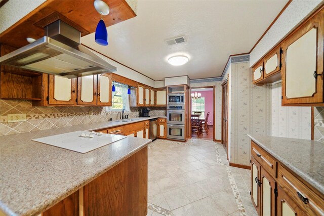 kitchen with appliances with stainless steel finishes, sink, decorative backsplash, island exhaust hood, and crown molding