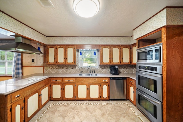 kitchen featuring sink, crown molding, ventilation hood, and appliances with stainless steel finishes