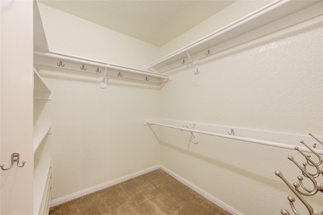 walk in closet with carpet floors