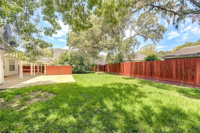 view of yard featuring a patio area