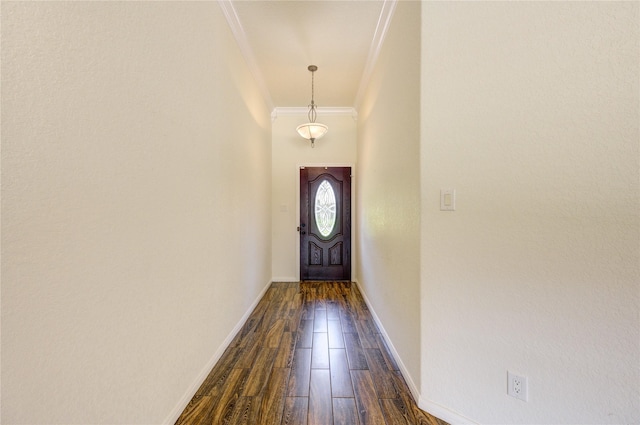 doorway with dark hardwood / wood-style flooring and ornamental molding