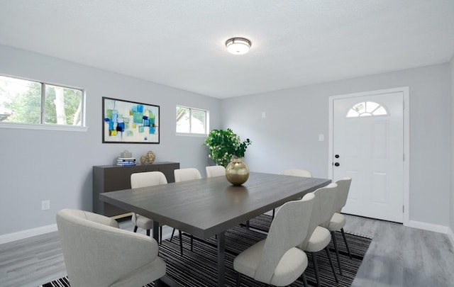 dining room with plenty of natural light and hardwood / wood-style flooring