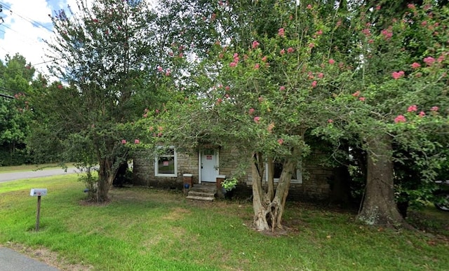 obstructed view of property with a front yard