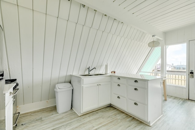 interior space featuring sink and light wood-type flooring