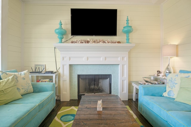 living room featuring a fireplace and dark wood-type flooring