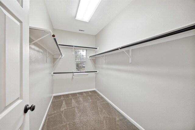 walk in closet featuring carpet floors