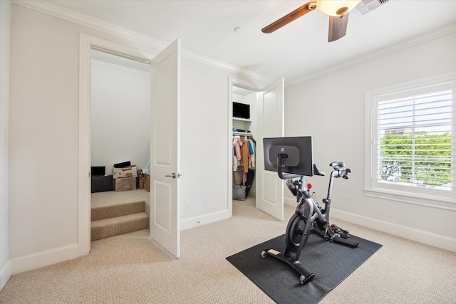 workout room featuring ceiling fan, light colored carpet, and crown molding