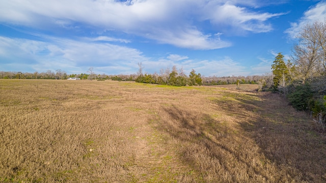 Listing photo 2 for TBD Private Rd 1310, Centerville TX 75833