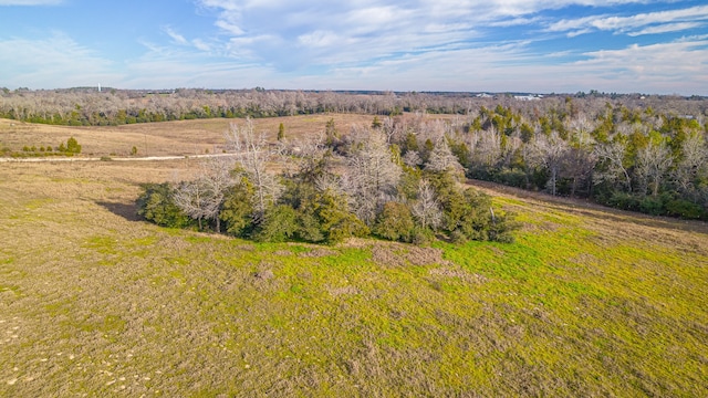 Listing photo 3 for TBD Private Rd 1310, Centerville TX 75833