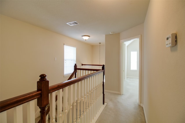 corridor featuring a healthy amount of sunlight and carpet floors