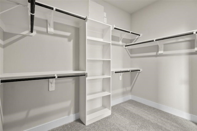 spacious closet featuring light carpet