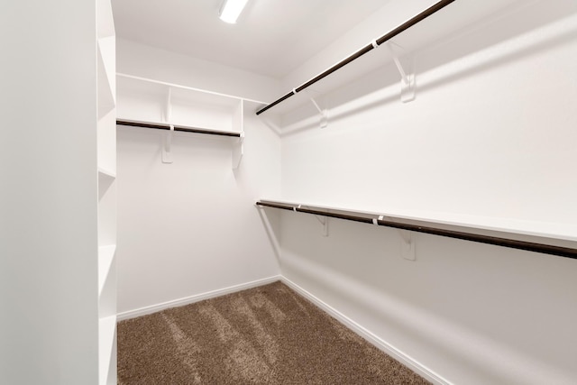 walk in closet with dark carpet