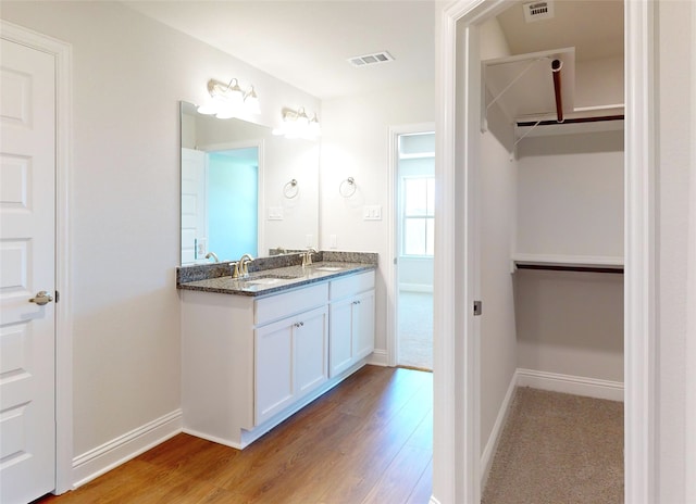 bathroom with hardwood / wood-style flooring and vanity