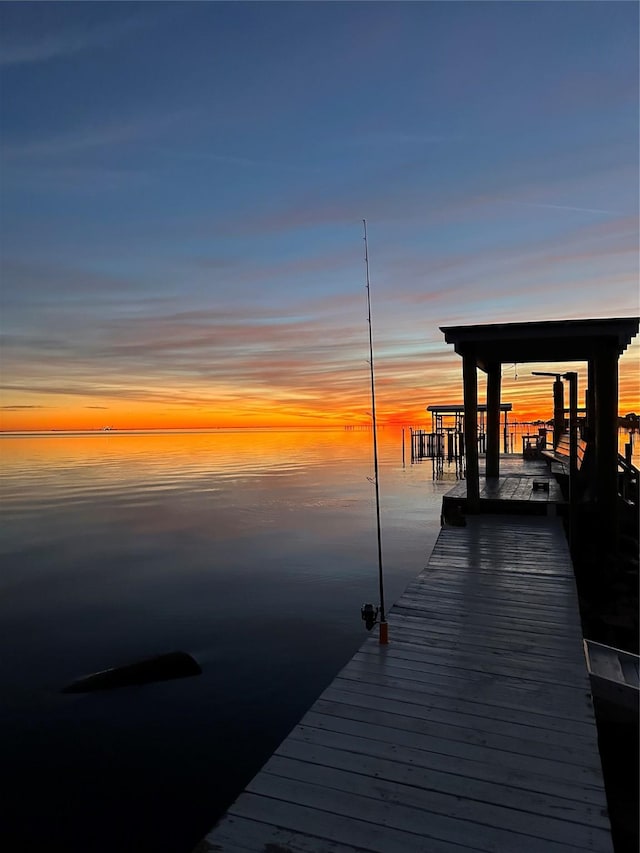 dock area with a water view