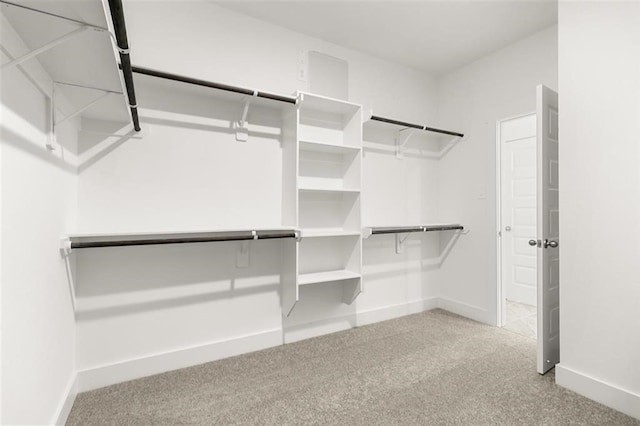 walk in closet featuring light colored carpet