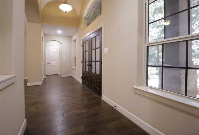 entrance foyer featuring a wealth of natural light and dark wood-type flooring