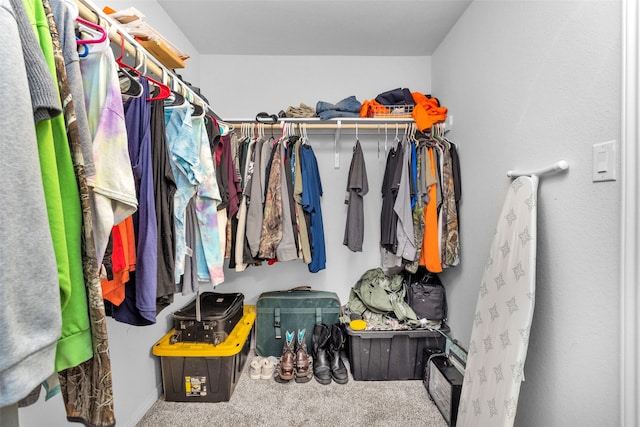 walk in closet featuring carpet floors