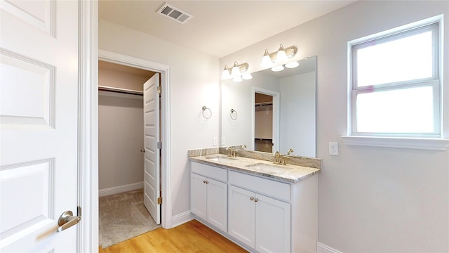 bathroom with a healthy amount of sunlight, wood-type flooring, and dual bowl vanity