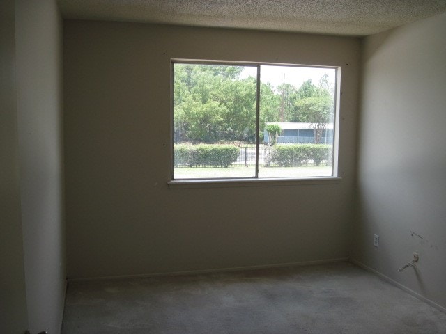 carpeted empty room featuring a textured ceiling and plenty of natural light