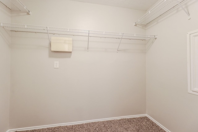 walk in closet featuring carpet