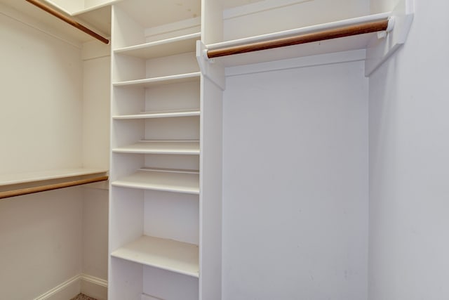 view of walk in closet