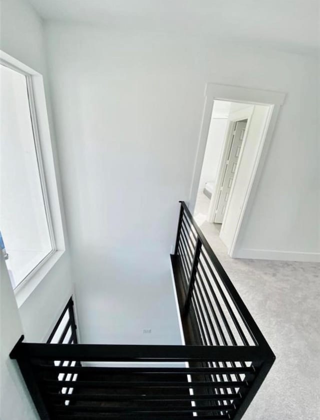 staircase with carpet floors