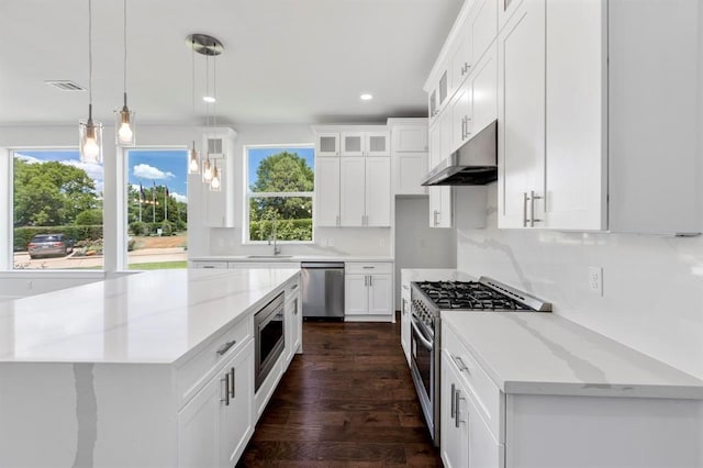 kitchen featuring under cabinet range hood, a sink, glass insert cabinets, appliances with stainless steel finishes, and decorative backsplash