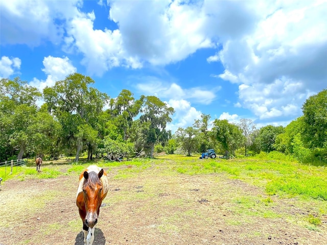 view of yard featuring a rural view