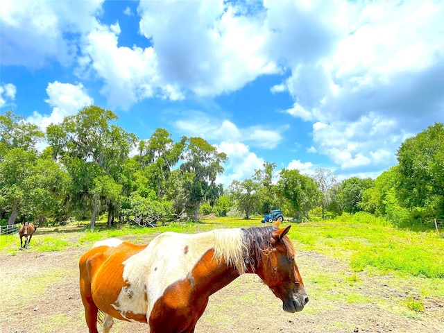 view of community with a rural view